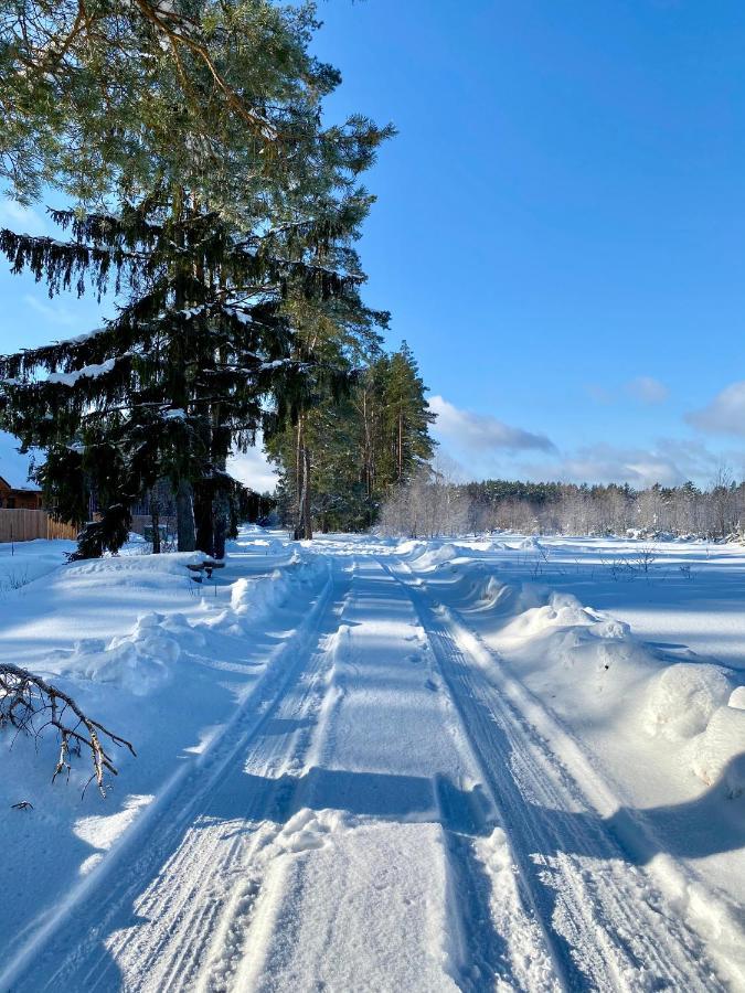 Caloroczne Domy Z Bala - Casa Del Czyzyk Serwy Bagian luar foto